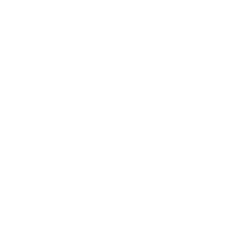 Roberto Morales influencer de tiktok que chille el grill con sus cuchillos suish by robegrill